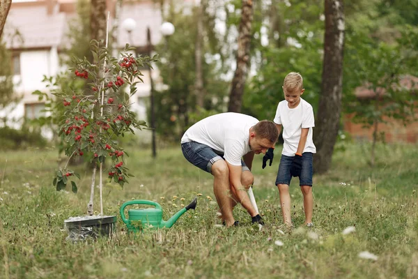 Father with little son are planting a tree on a yard — 스톡 사진