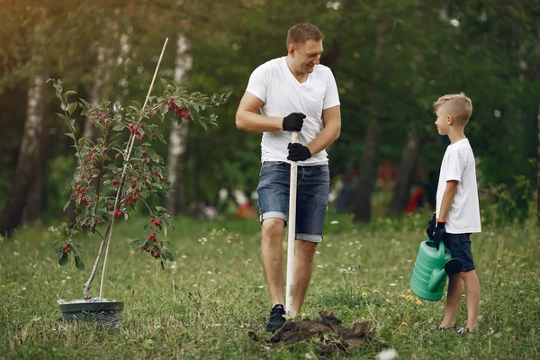 Father with little son are planting a tree on a yard — 스톡 사진