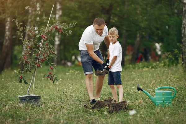 Otec s malým synem sázejí strom na dvoře. — Stock fotografie