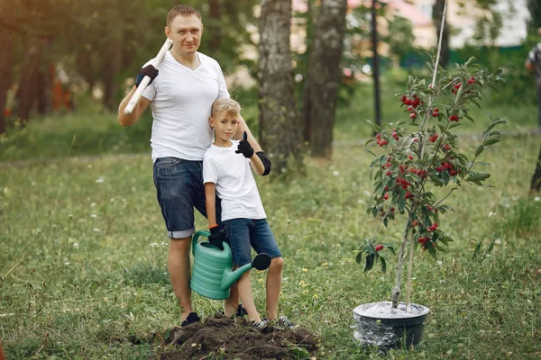 Ayah dengan anak kecil menanam pohon di halaman — Stok Foto