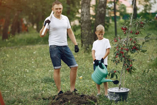 Padre con hijo pequeño están plantando un árbol en un patio —  Fotos de Stock