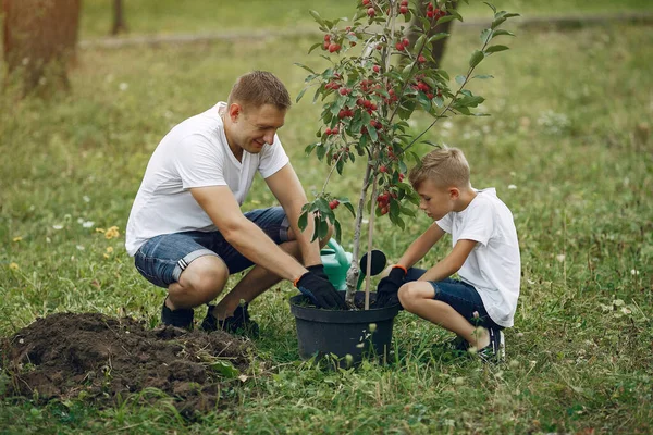 Far och lille son planterar ett träd på en gård. — Stockfoto