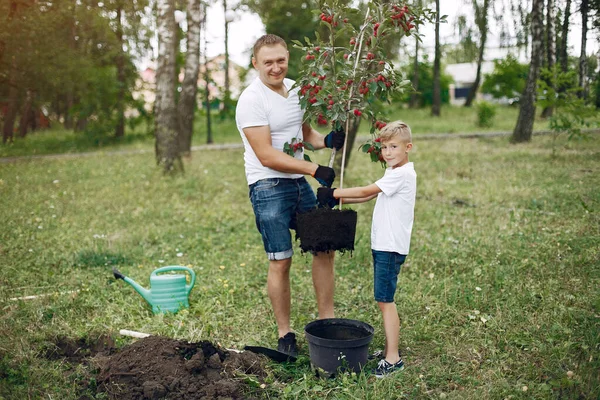 Far och lille son planterar ett träd på en gård. — Stockfoto