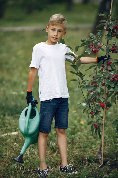 Anak kecil yang lucu menanam pohon di taman — Stok Foto