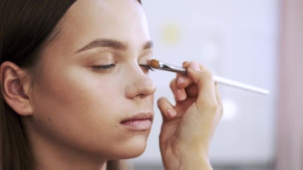 Close-up van het gezicht van jonge dame doet make-up in salon — Stockvideo