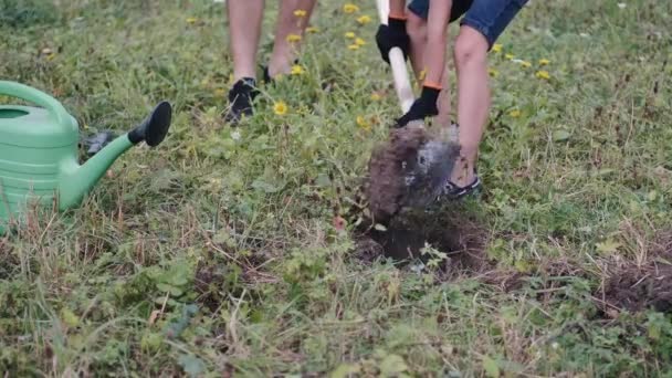 Мальчик в перчатках копает яму в земле лопатой — стоковое видео