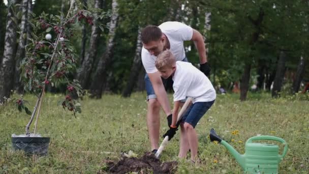爸爸和儿子正在公园里一起在地里挖一个洞 — 图库视频影像