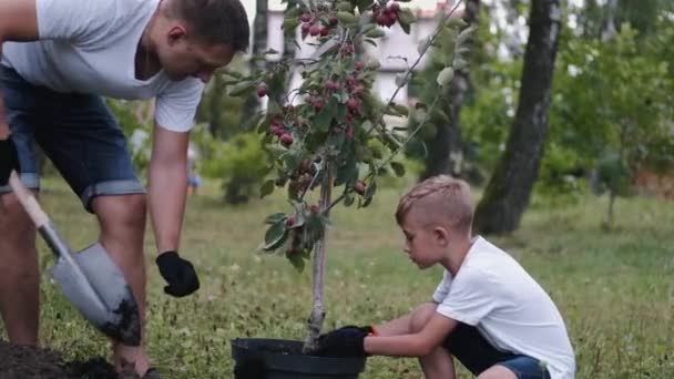 The father and his son are taking the soil off a pot — Stockvideo