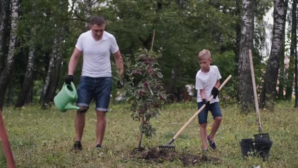 De ouders en zoon hebben een pruimenboom geplant in een park. — Stockvideo
