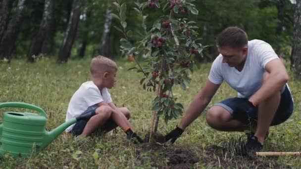 Il genitore e suo figlio stanno premendo il terreno sotto un albero — Video Stock