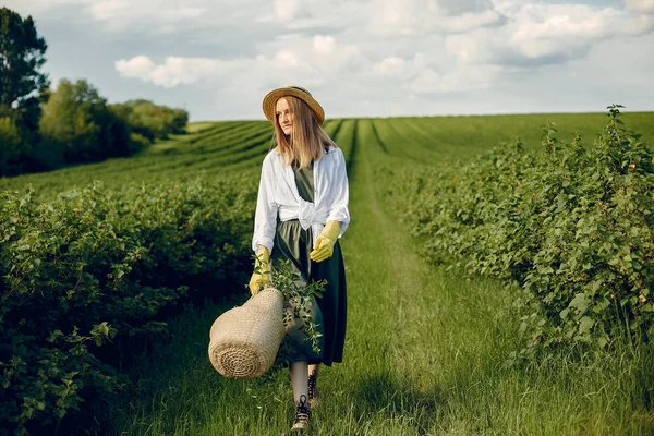 Menina elegante e elegante em um campo de verão — Fotografia de Stock