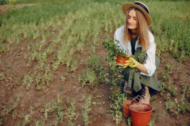 Yaz tarlasında güzel bir kadın
