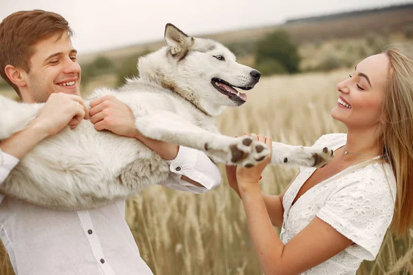 Sonbahar tarlasında bir çift köpekle oynuyor. — Stok fotoğraf