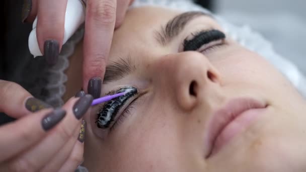 The lash artist is dying the lashes after lamination — Stock Video
