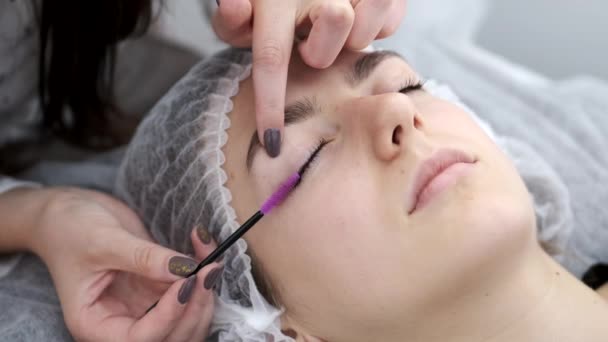 The lash maker is brushing the eye lashes — Stock Video