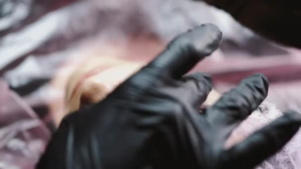 De wenkbrauwen meester doet microblading van wenkbrauwen — Stockvideo