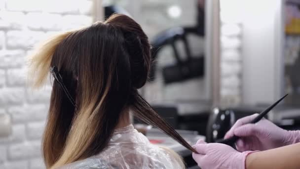 Vista recortada del proceso de coloración del cabello en el salón de belleza — Vídeo de stock