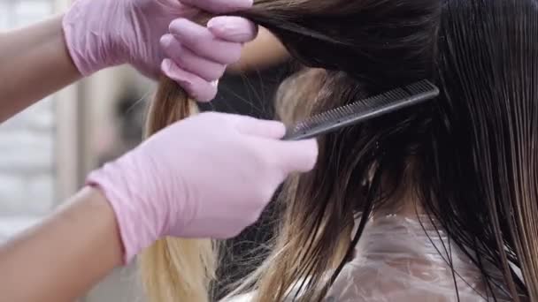 Καλλιεργημένη άποψη της διαδικασίας βαφής μαλλιών στο σαλόνι ομορφιάς — Αρχείο Βίντεο