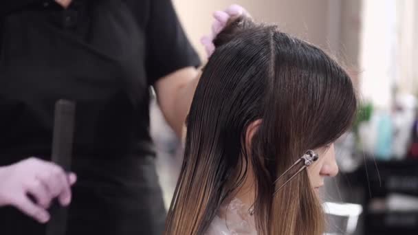 Cropped view of hair coloring process in beauty salon — 비디오