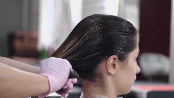 Vista recortada del proceso de coloración del cabello en el salón de belleza — Vídeo de stock