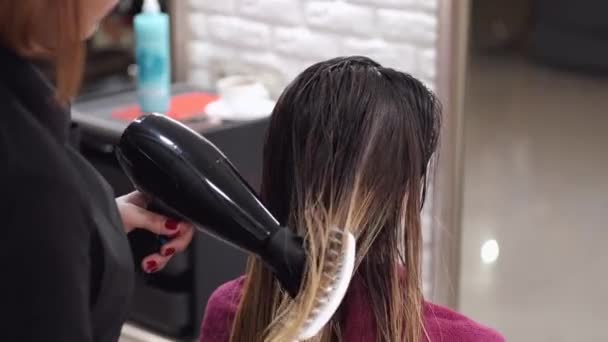 Крупним планом процес сушіння волосся клієнтів в салоні краси — стокове відео