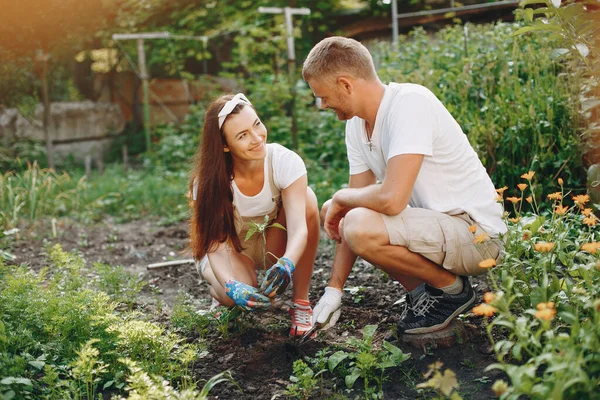 Beautiful couple works in a garden near the house