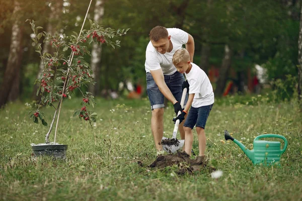 Padre con hijo pequeño están plantando un árbol en un patio — Foto de Stock