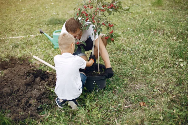 Küçük oğlu olan baba bahçeye ağaç dikiyor. — Stok fotoğraf
