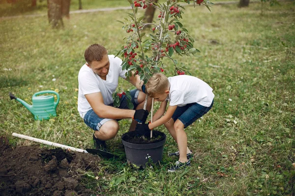 Far med lille søn planter et træ på en gård - Stock-foto