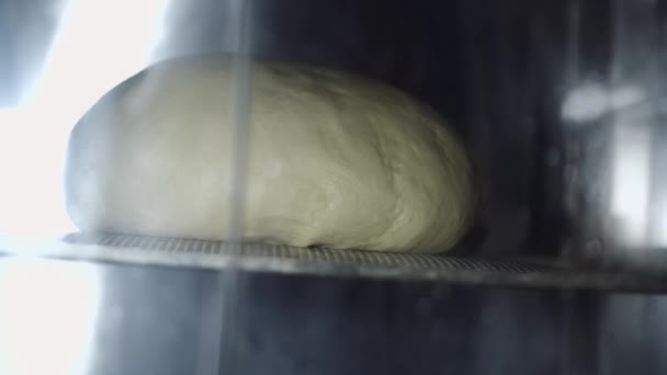 A massa está crescendo em uma geladeira — Vídeo de Stock