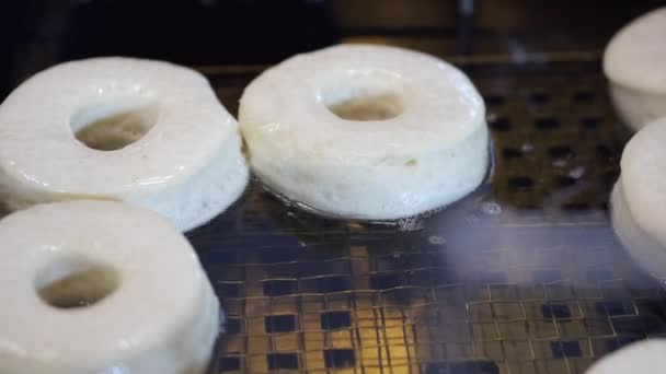 Die kreisförmigen Basen für Donuts werden gebraten — Stockvideo