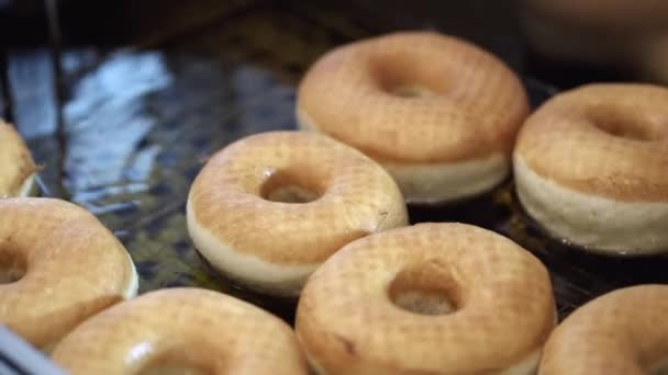 Die Grundlagen für Donuts werden gebraten — Stockvideo