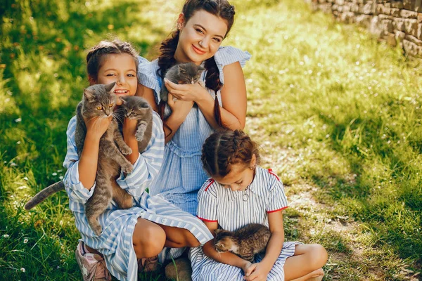 Drie mooie meisjes met katten — Stockfoto