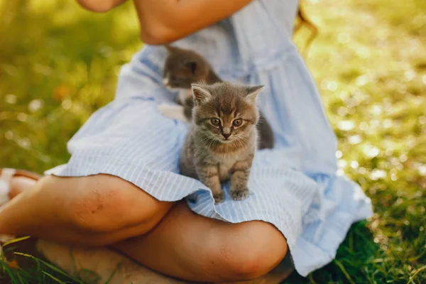 Красивая девушка с кошками — стоковое фото