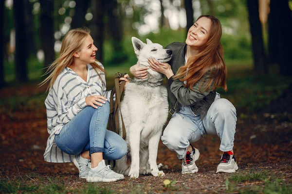 Meninas elegantes e elegantes em uma floresta de verão — Fotografia de Stock