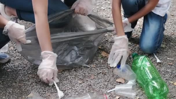 Vue recadrée du processus de collecte des ordures par les bénévoles en forêt — Video