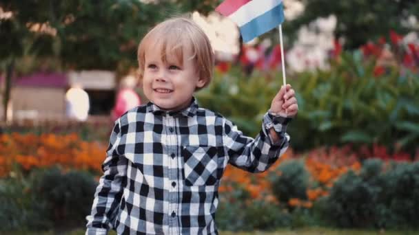 Little boy in checkered shirt holding flag of Netherlands — Stock Video