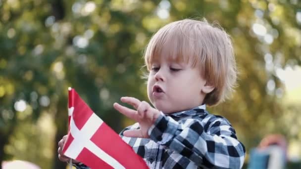 Porträt eines kleinen Jungen, der mit der englischen Flagge im Park spielt — Stockvideo