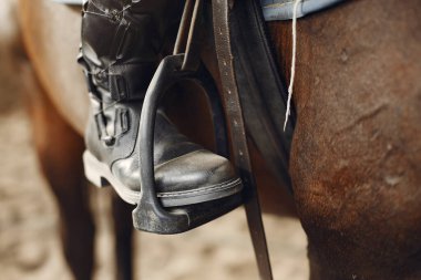 The rider in black form trains with the horse