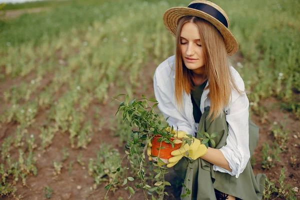 Wanita cantik di ladang musim panas — Stok Foto