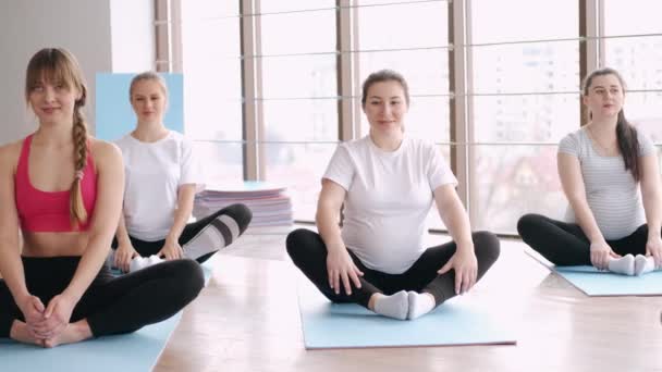 Gravida europeiska kvinnor gör yoga i ett gym — Stockvideo