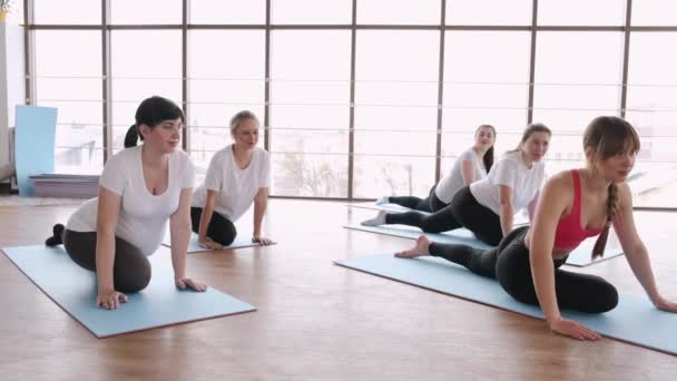 Zwangere vrouw stretching benen met een instructeur — Stockvideo