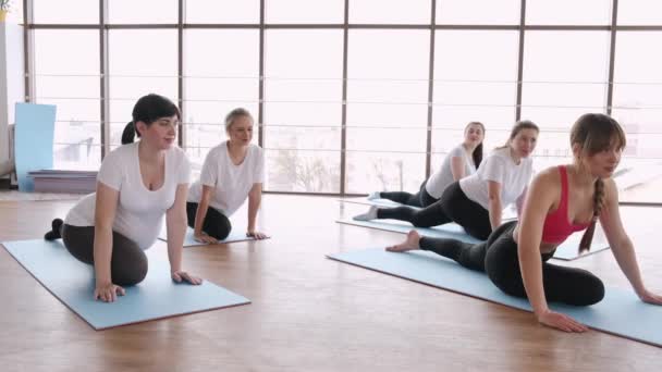 Femme enceinte étirant les jambes avec un instructeur — Video