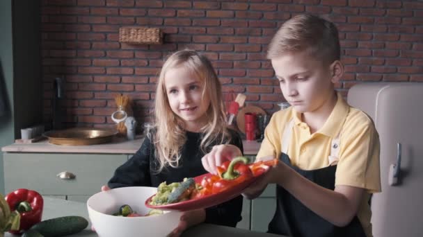 Dwoje dzieci w nowoczesnej kuchni gotuje świeżą sałatkę — Wideo stockowe