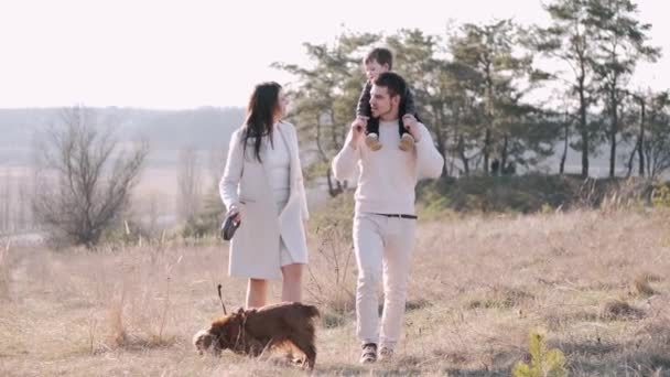 Молодая счастливая семья с сыном и собакой гуляют в поле — стоковое видео