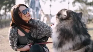 Gözlüklü güzel kız tarlada sevimli tüylü bir köpekle yürüyor.