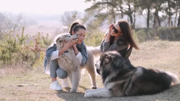 Jóvenes hermosas mujeres sonríen y se abrazan con sus perros lindos esponjosos — Vídeos de Stock