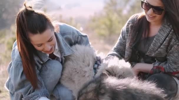 Young beautiful women are smiling and hugging with their fluffy cute dogs — Stock Video