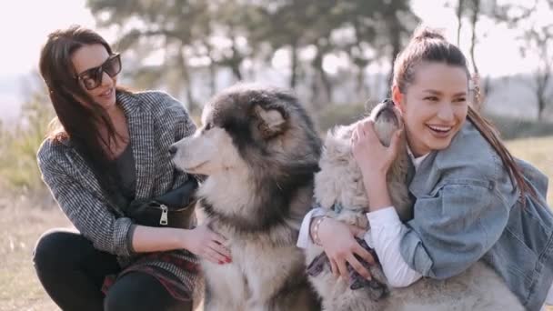 Unga vackra kvinnor ler och kramas med sina fluffiga söta hundar — Stockvideo