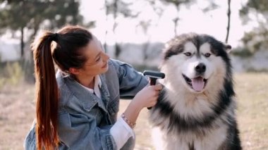 Evcil hayvan sever dışarıda yağmurlukla köpeği fırçalıyor.